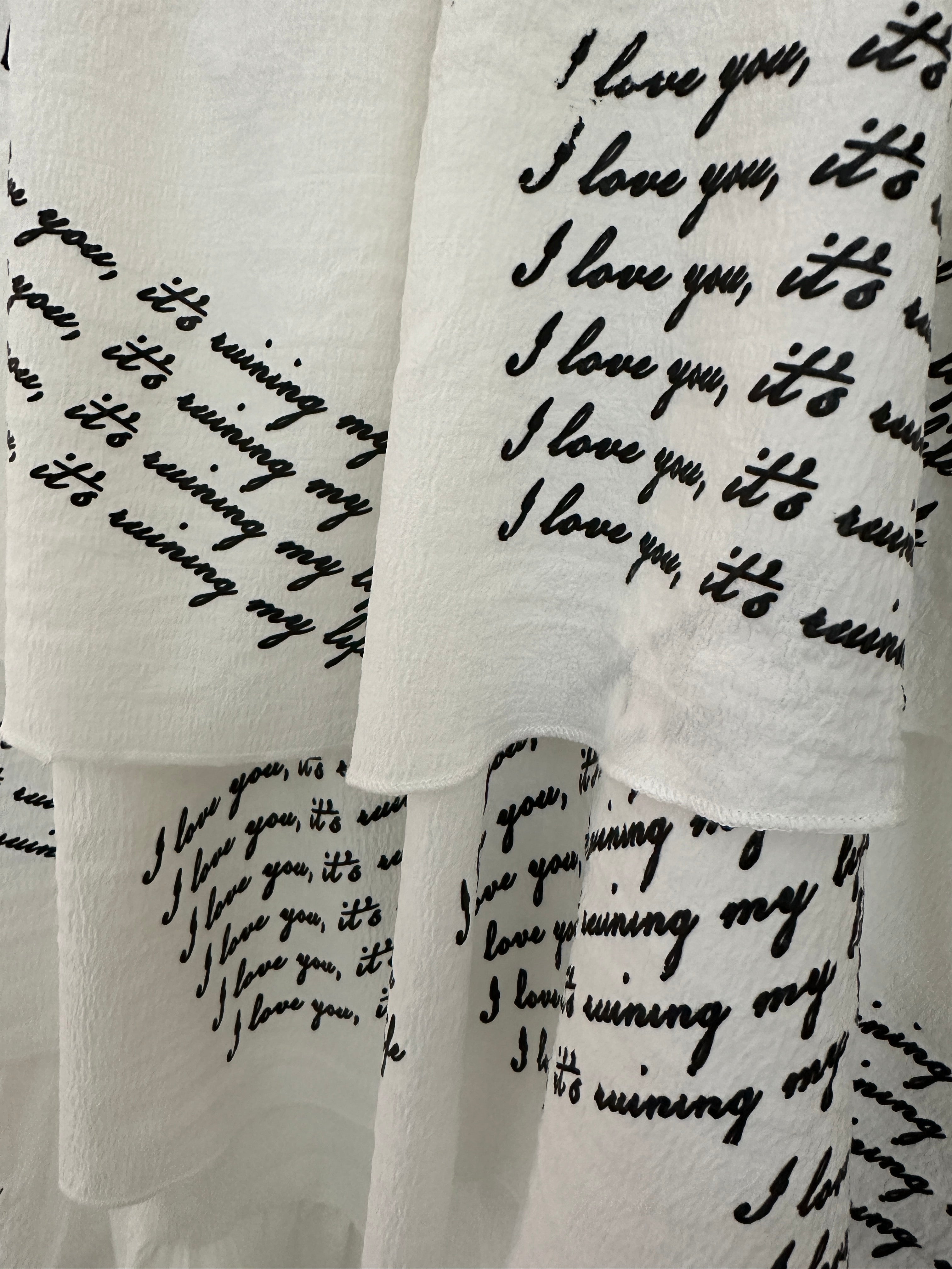 DIGITAL DOWNLOAD Dress Lyrics PNG Files – FishbiscuitDesigns