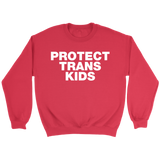 Protect Trans Kids Hoodie