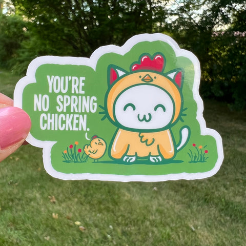 Spring Chicken Cute Cat Sticker
