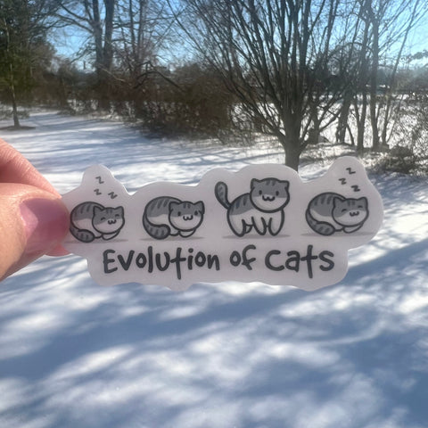 Evolution of Cats Sticker
